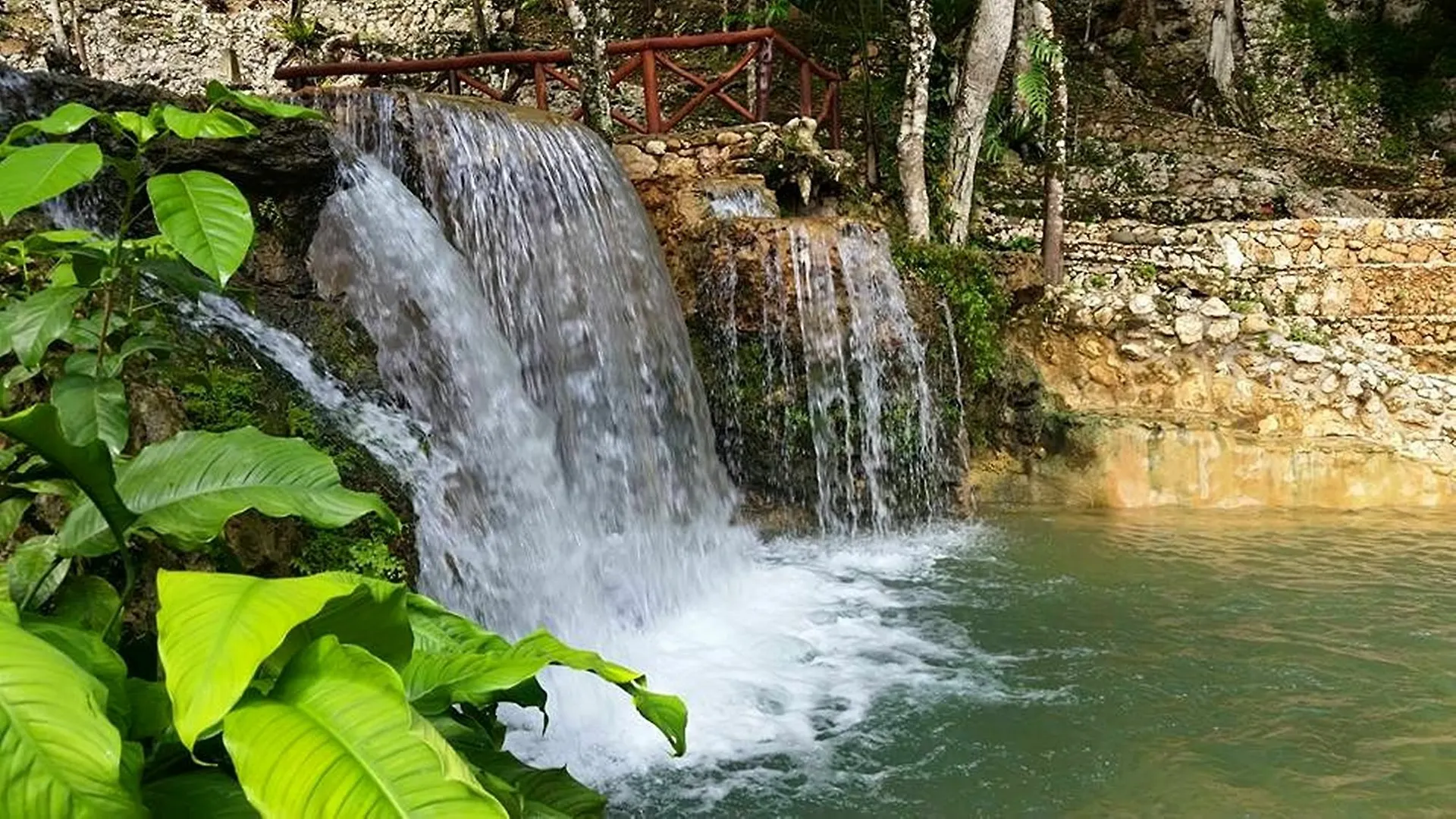 Hotel Altos de Caño Hondo Los Guineos Perdidos